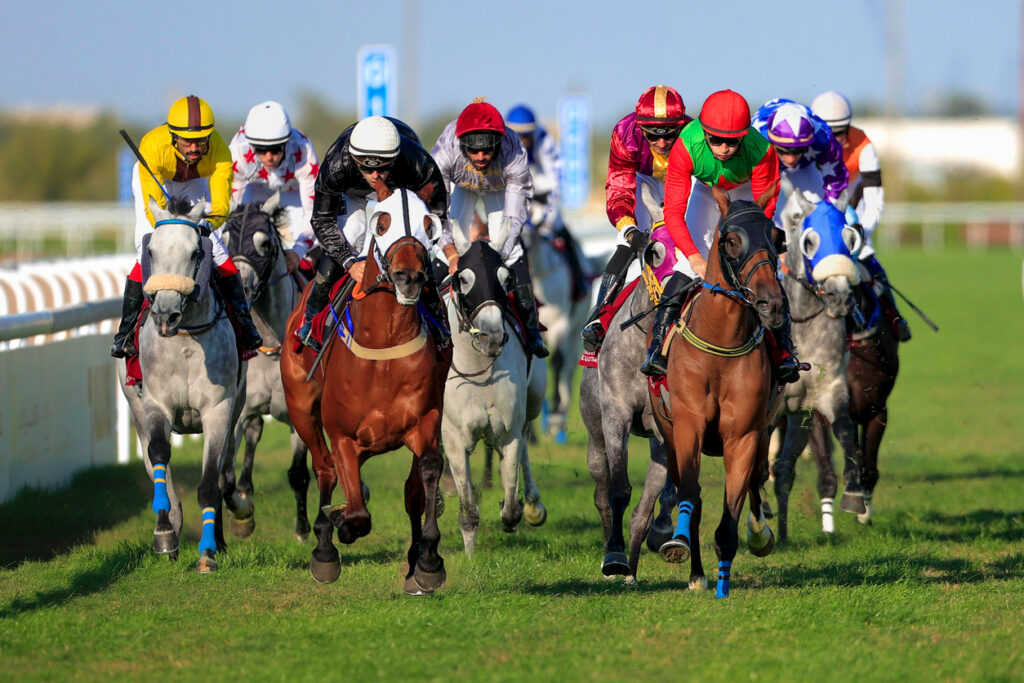 Royal Ascot Transfers